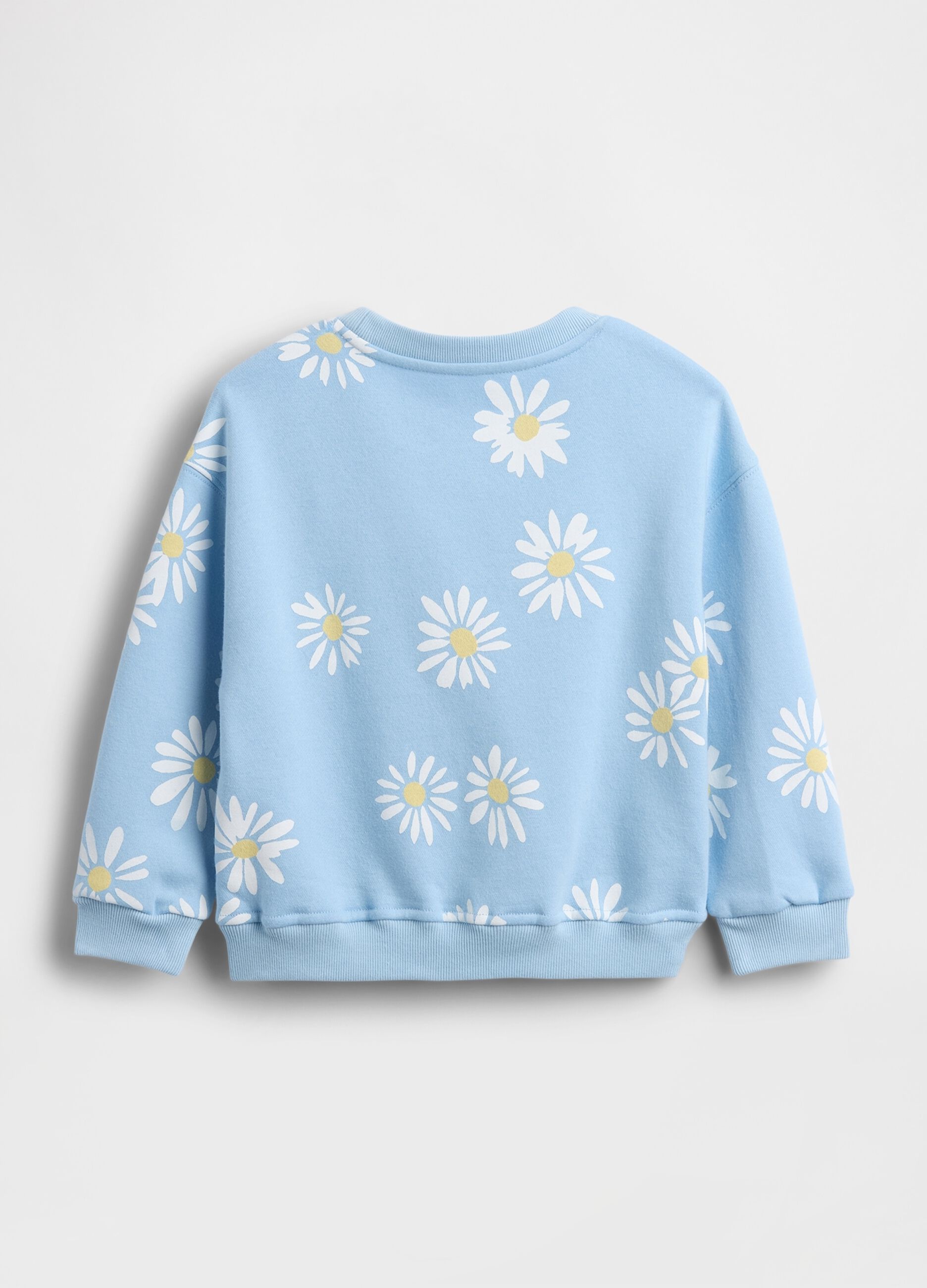 Light blue cotton-blend baby sweatshirt, regular fit, with daisies