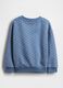 Blue Crew Neck Sweatshirt_1