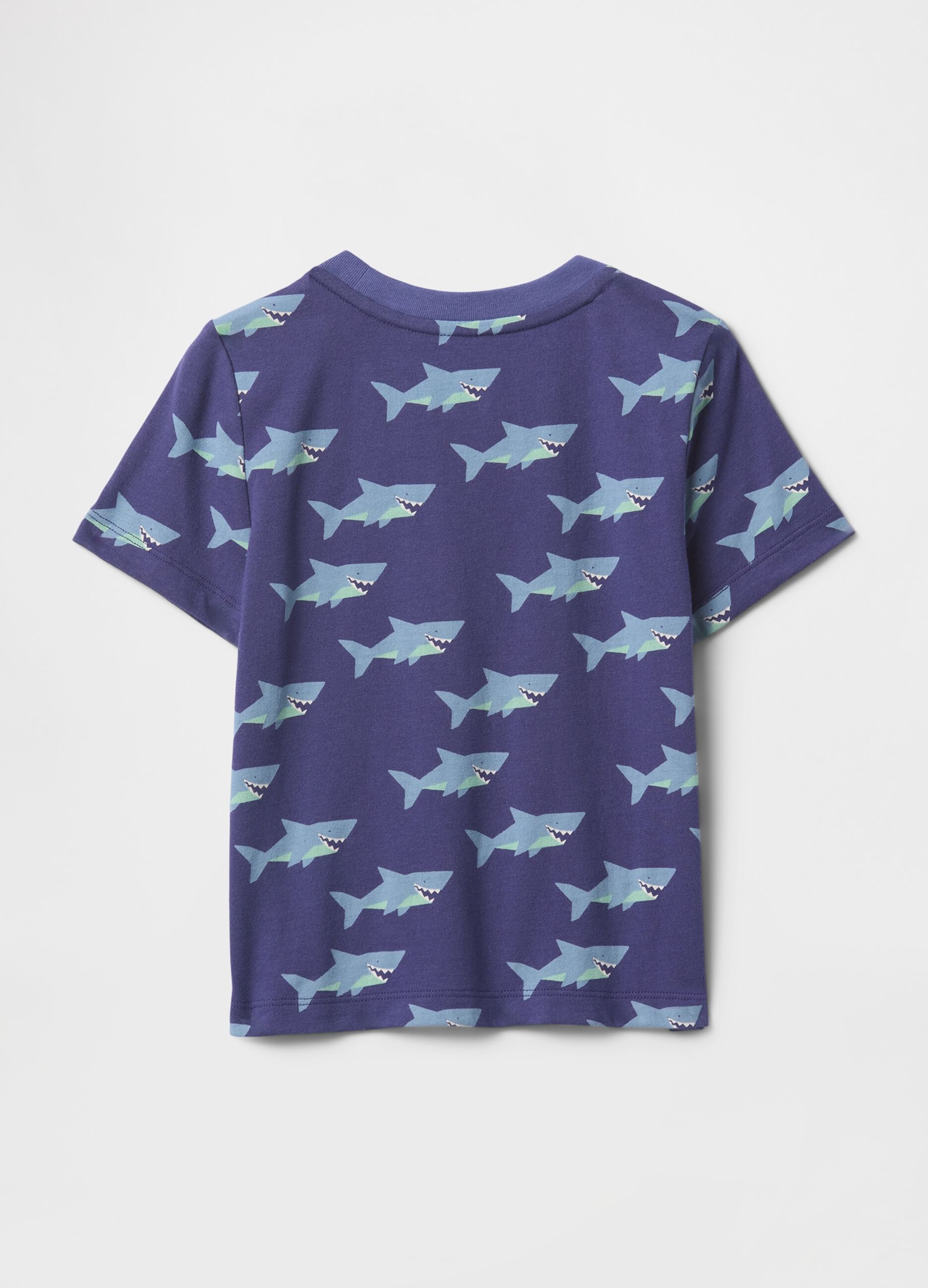 T-shirt sfumata azzurra e blu con taschino frontale_1