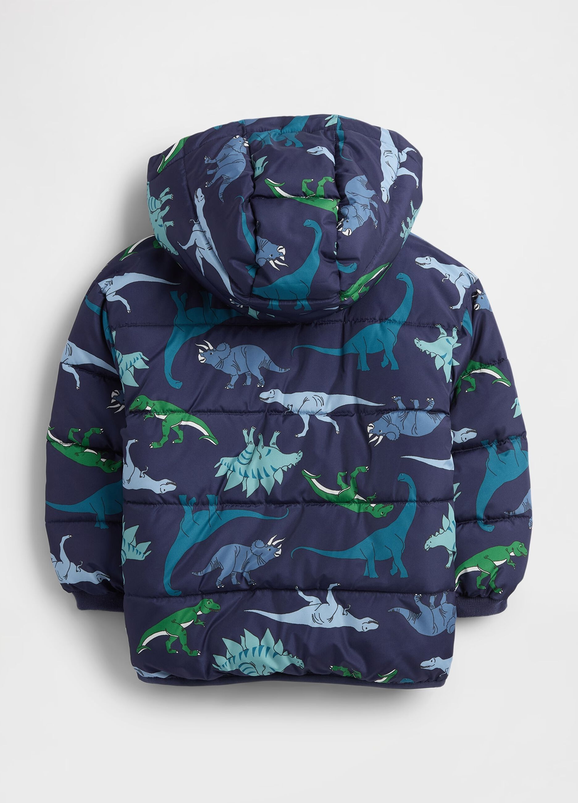 Blue Dinosaur Print Jacket for Kids