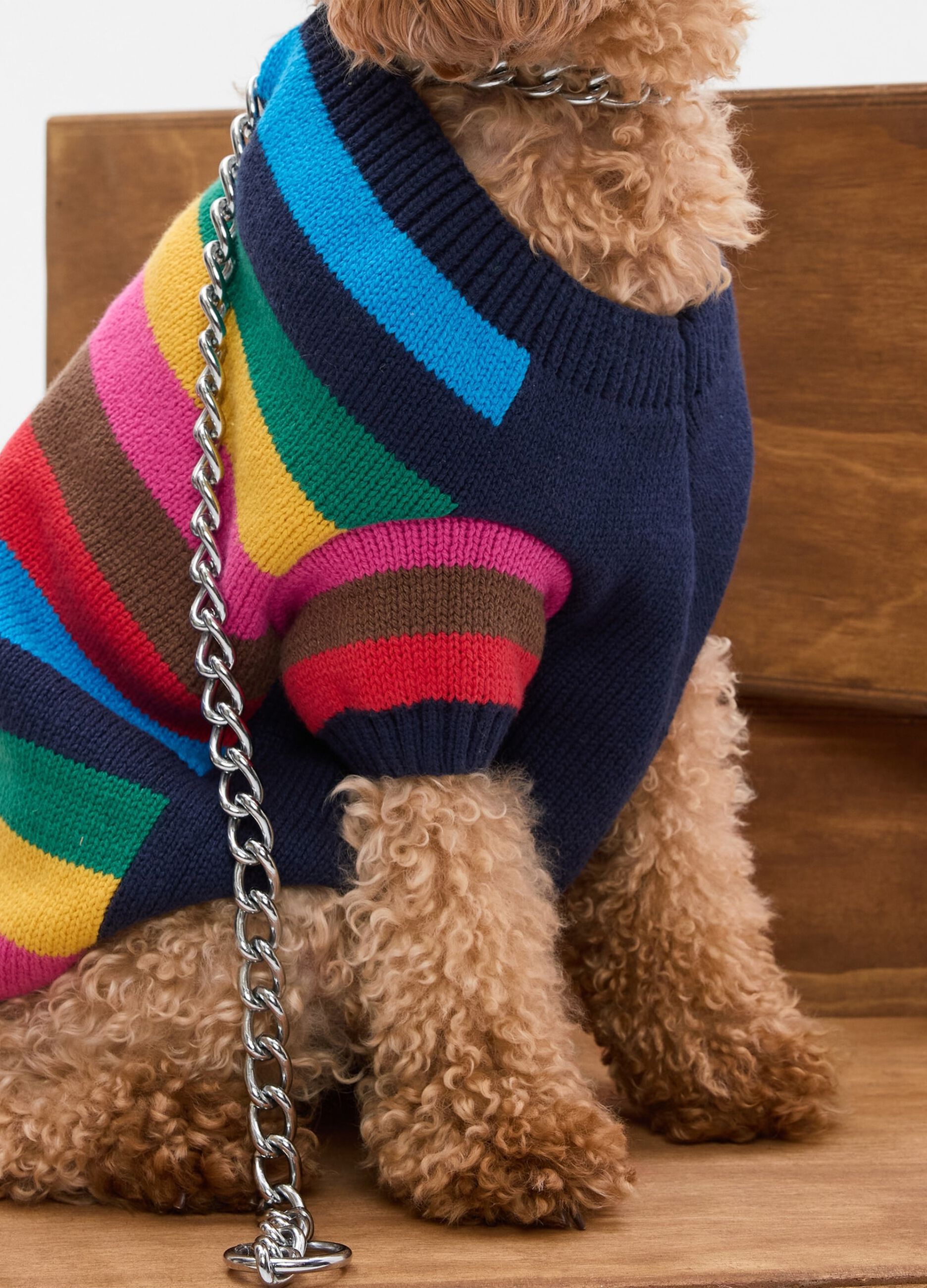 Happy Stripe dog sweater_1