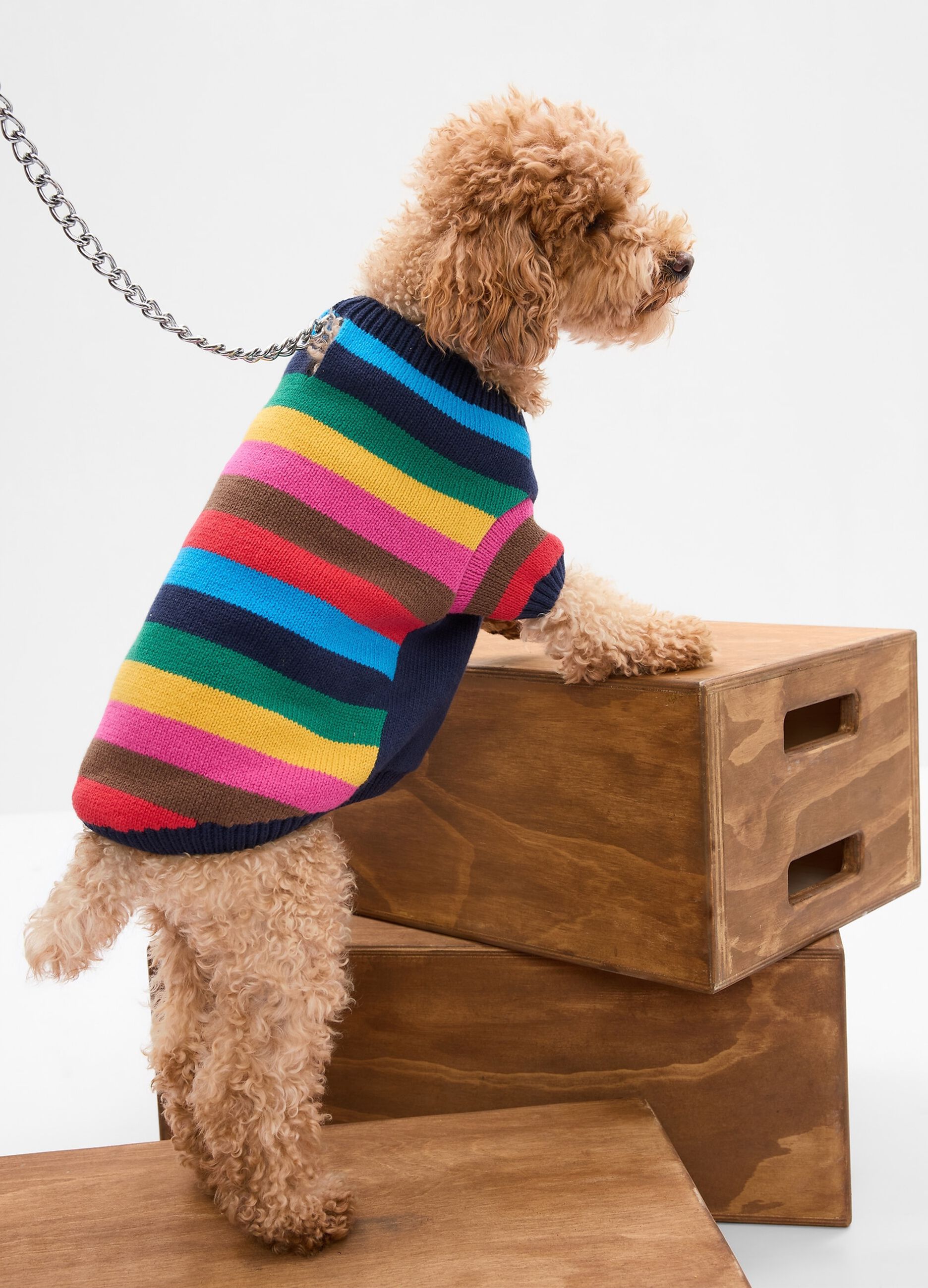 Happy Stripe dog sweater_0
