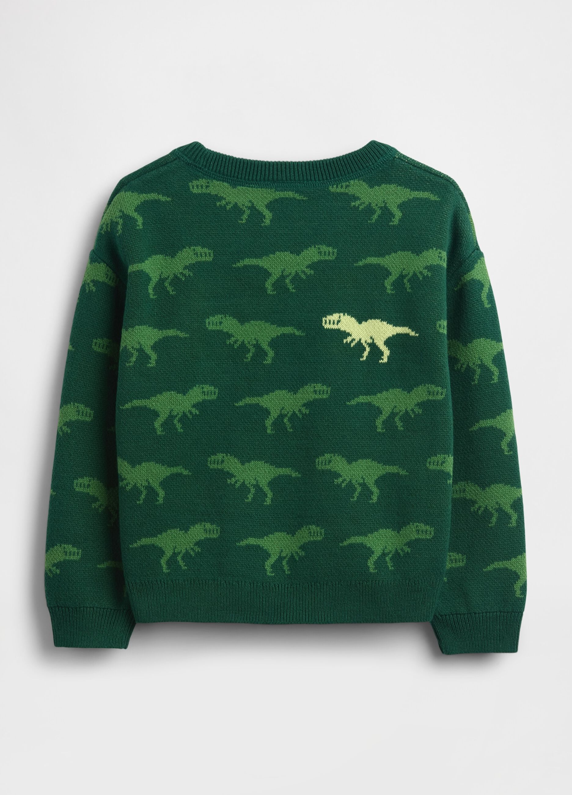 Maglione verde in cotone con dinosauri