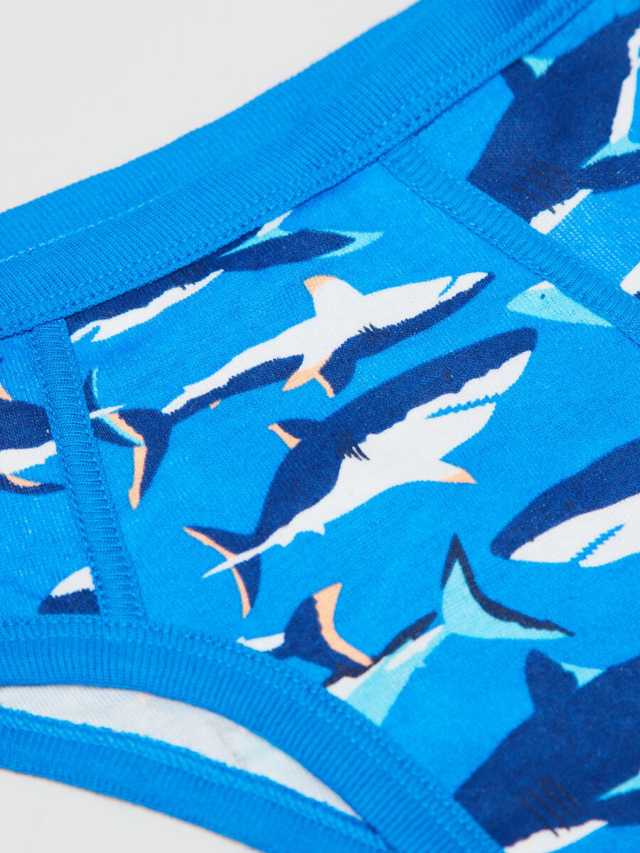 Five-pack briefs with shark print Toddler Boy_1