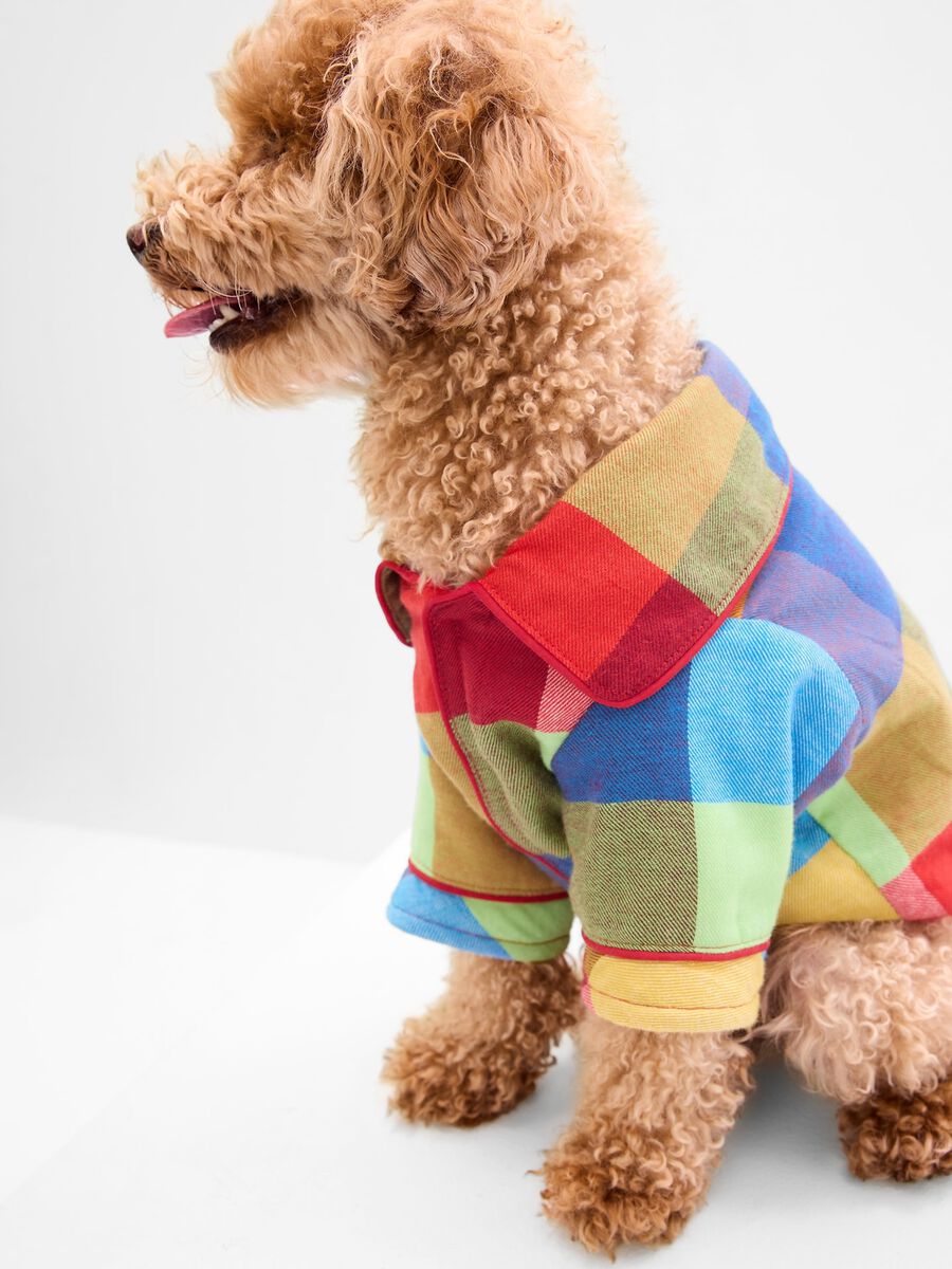 Multicoloured check dog suit_0