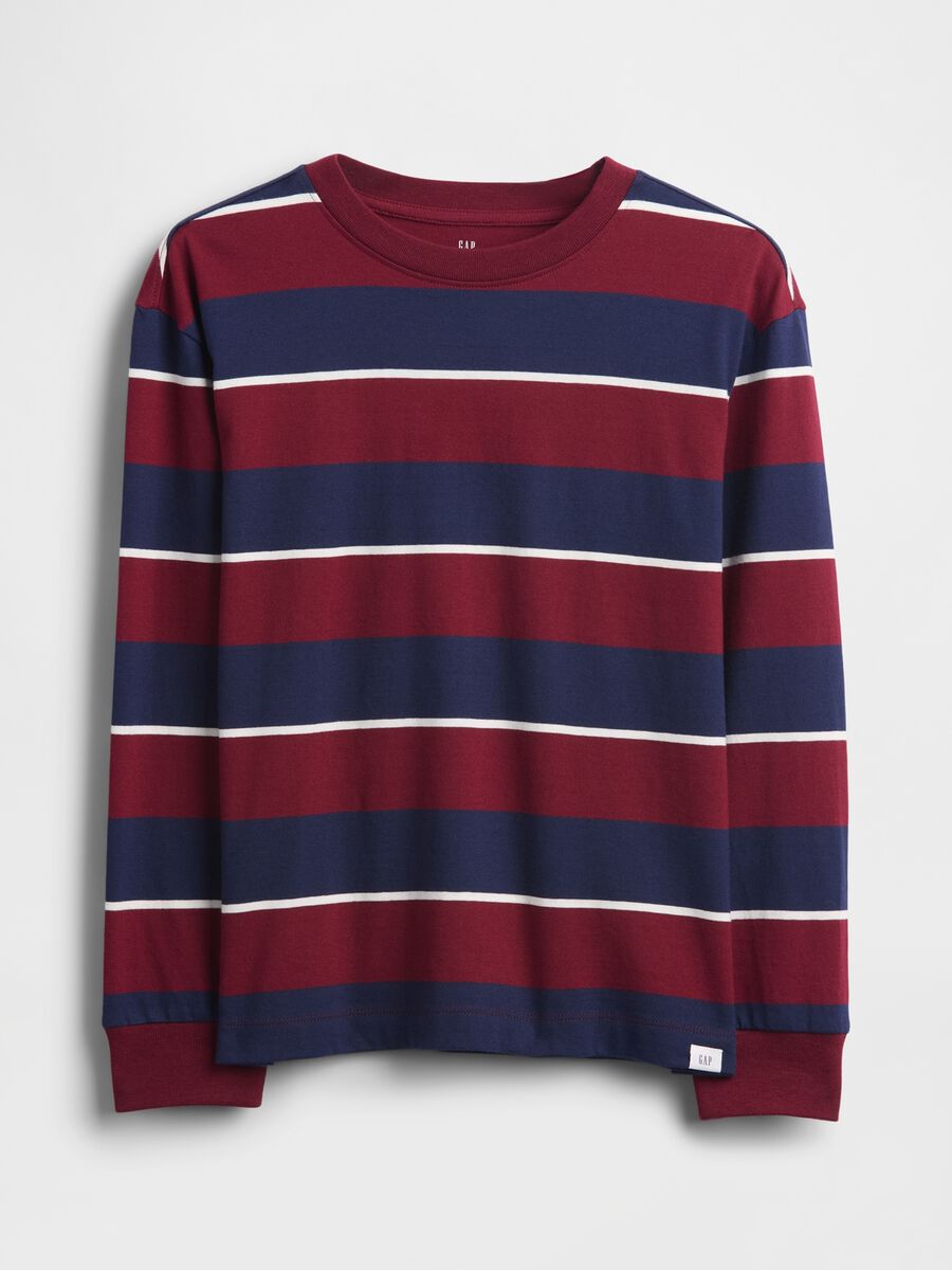 Long Sleeve Blue and Red Striped Cotton T-Shirt Boy_0