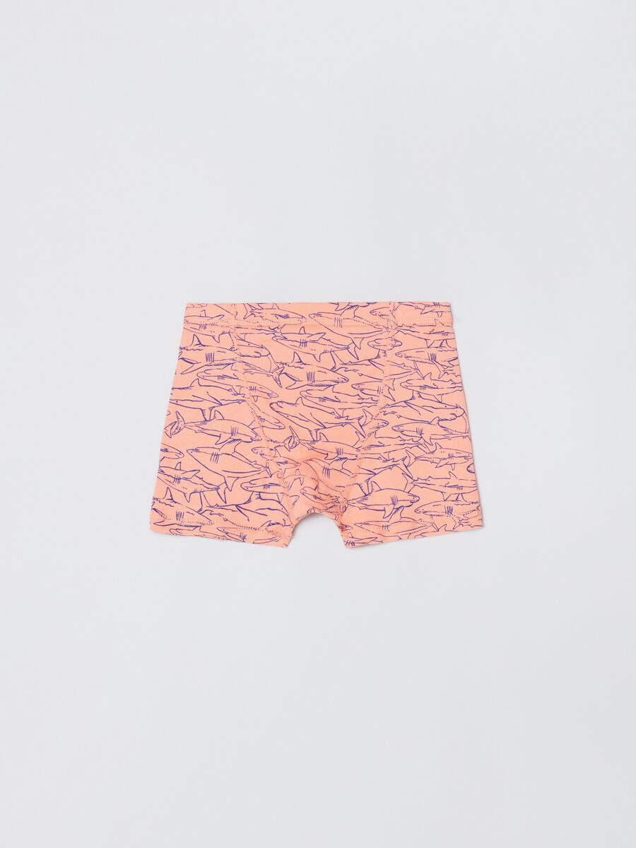 Four-pack striped boxer shorts with shark print Boy_2