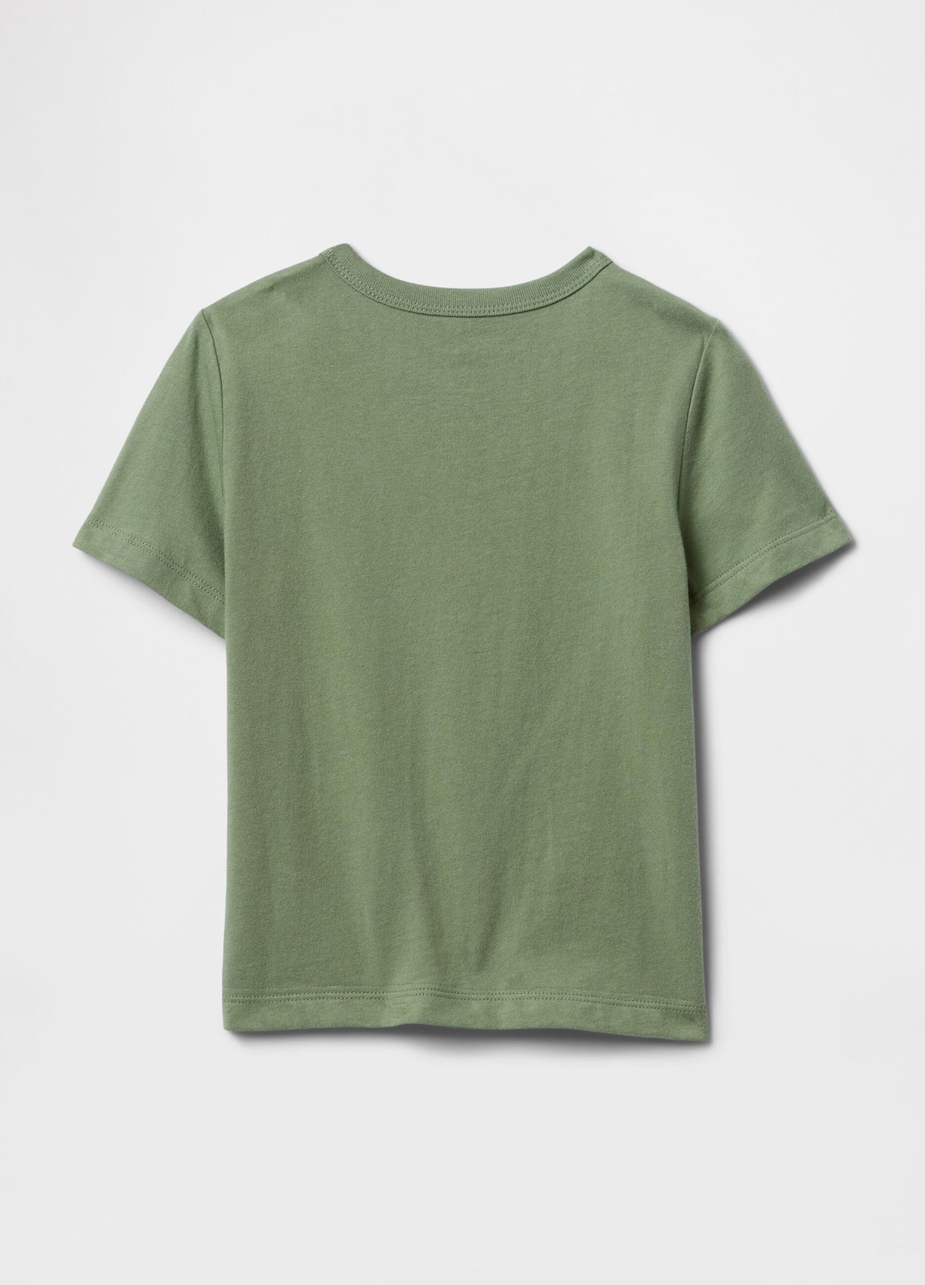 T-shirt verde con grafica dinosauri_1