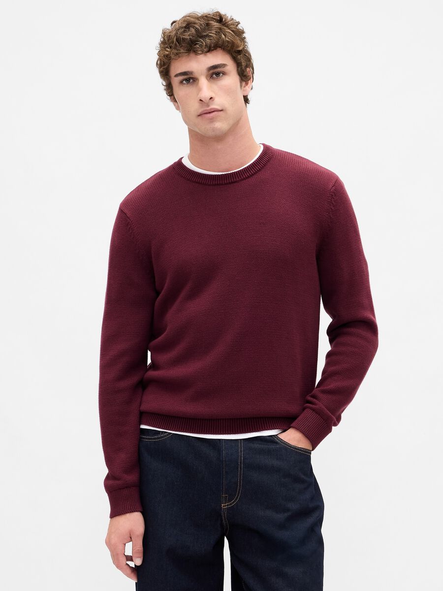 Maglione girocollo bordeaux in puro cotone Uomo_0