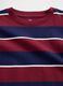 Long Sleeve Blue and Red Striped Cotton T-Shirt_1