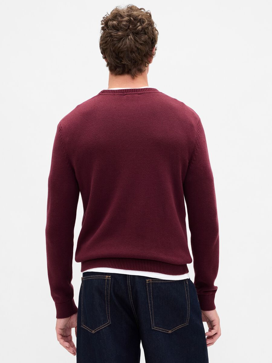 Maglione girocollo bordeaux in puro cotone Uomo_1