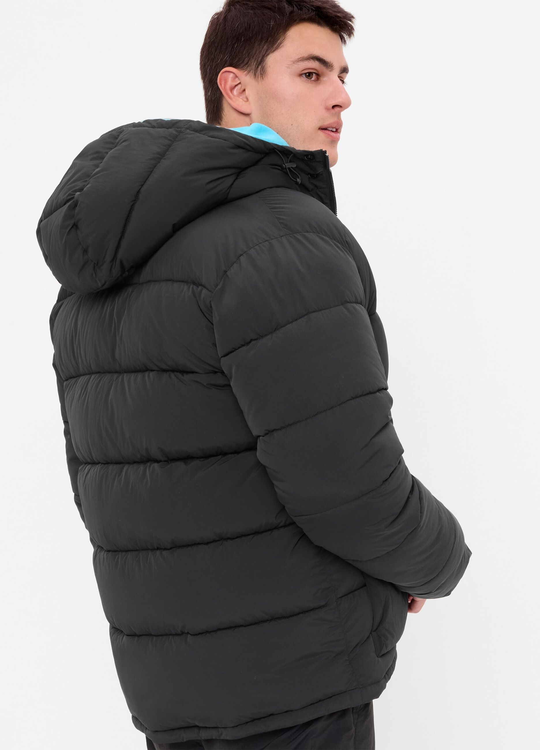 Quilted and padded jacket with hood_1