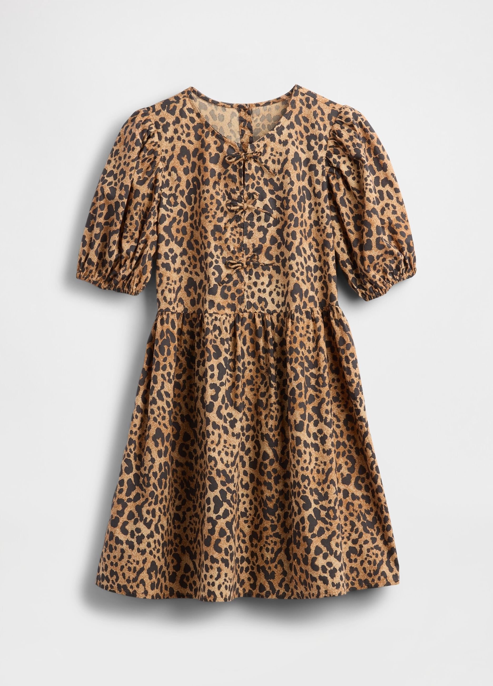 Brown Dress with Leopard Print_2