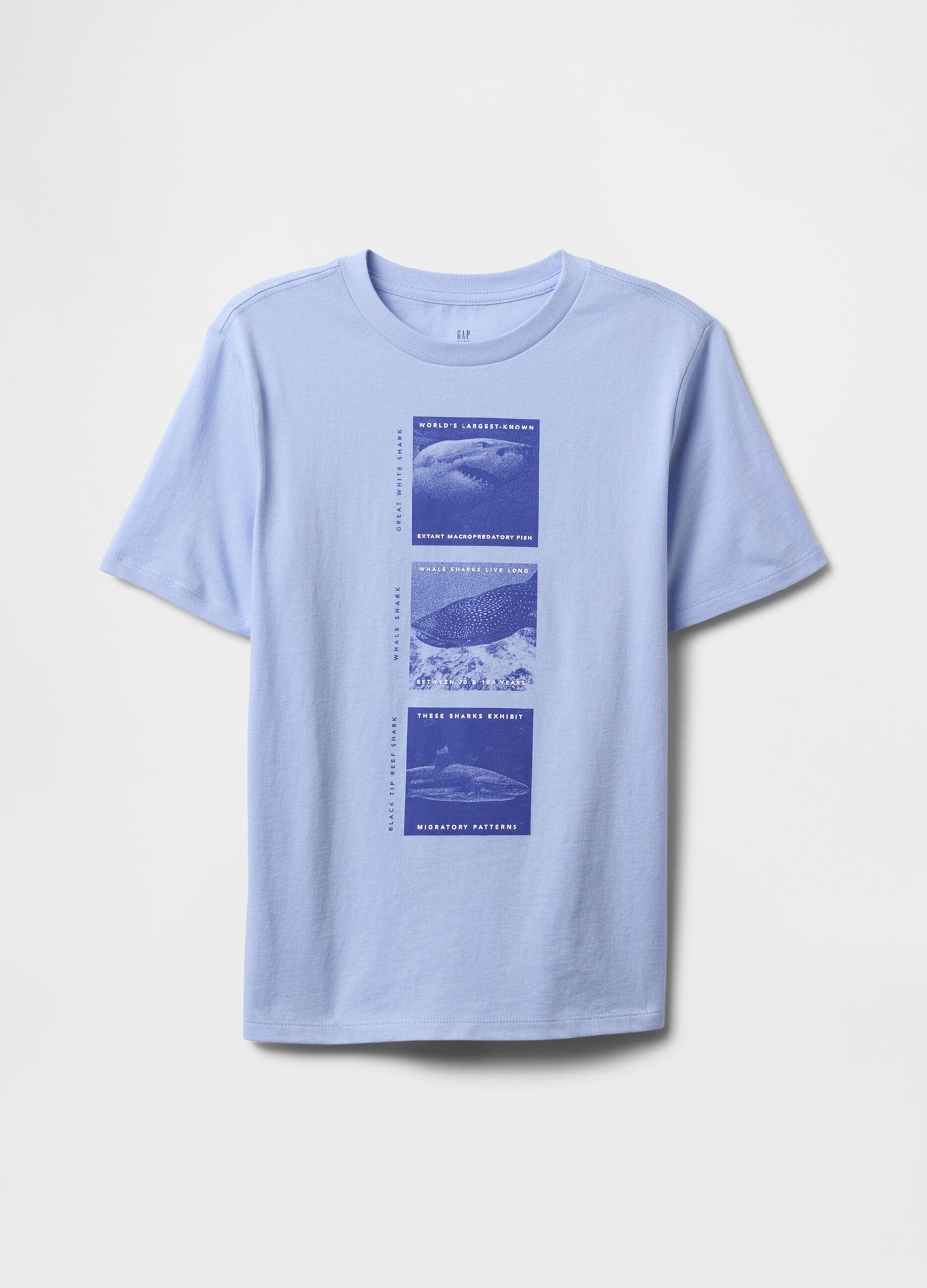 T-shirt azzurra con stampa di squali