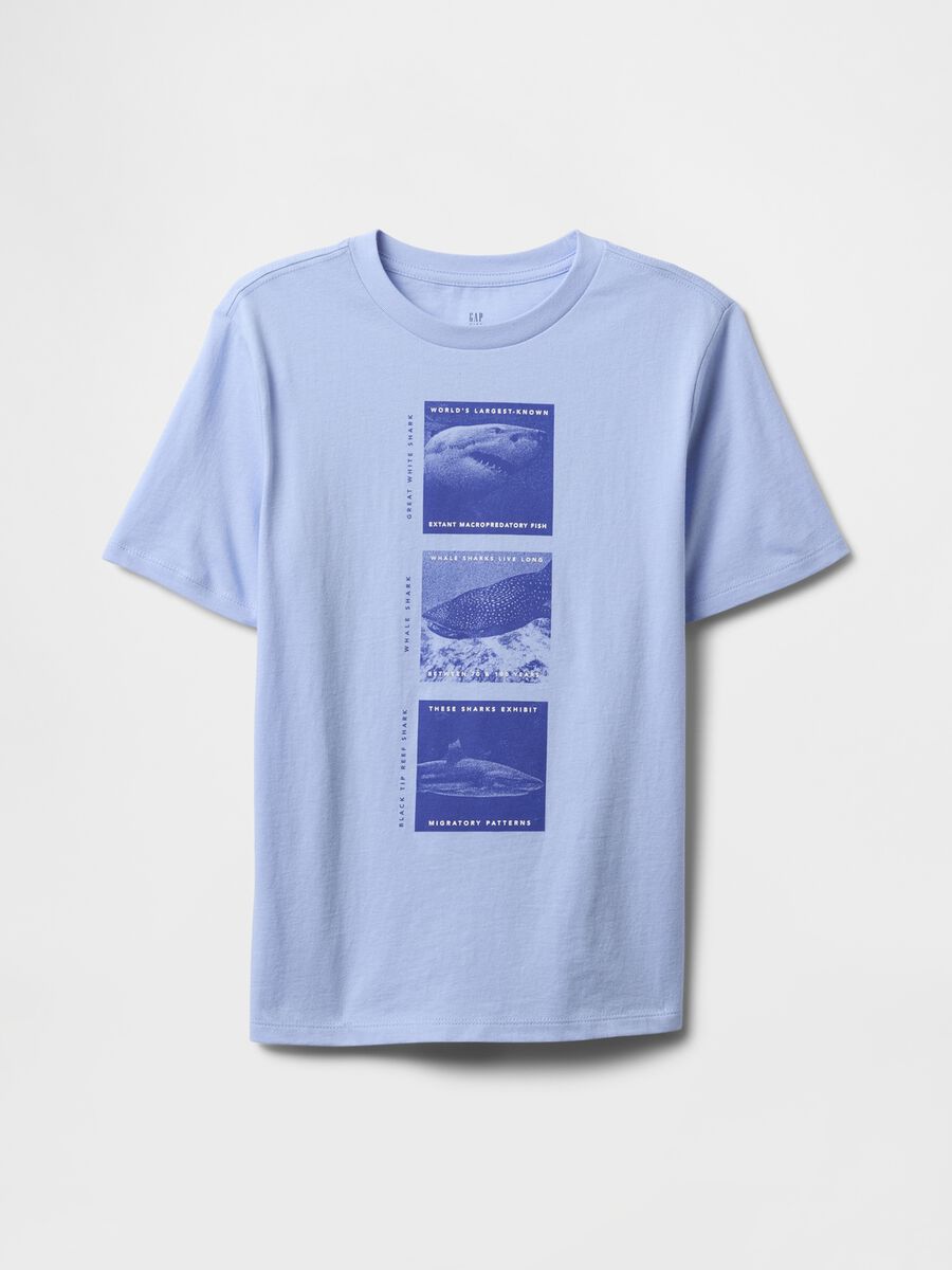 T-shirt azzurra con stampa di squali Bambino_0