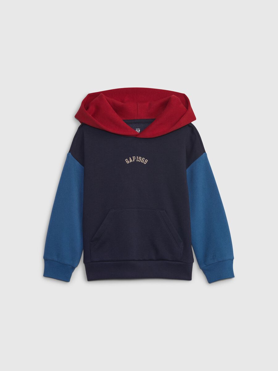 Colourblock sweatshirt with hood and logo_0