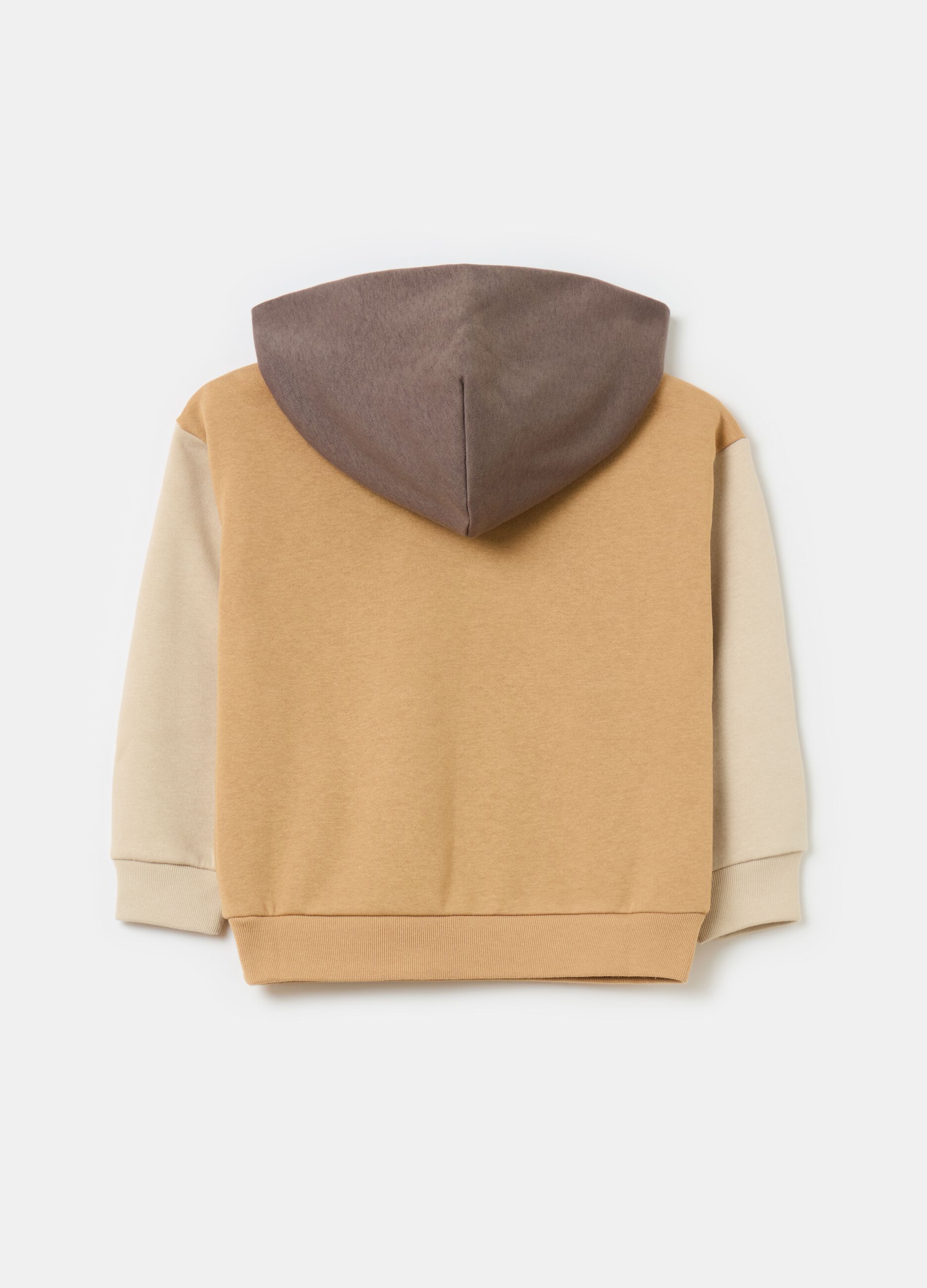 Colourblock sweatshirt with hood and logo_1