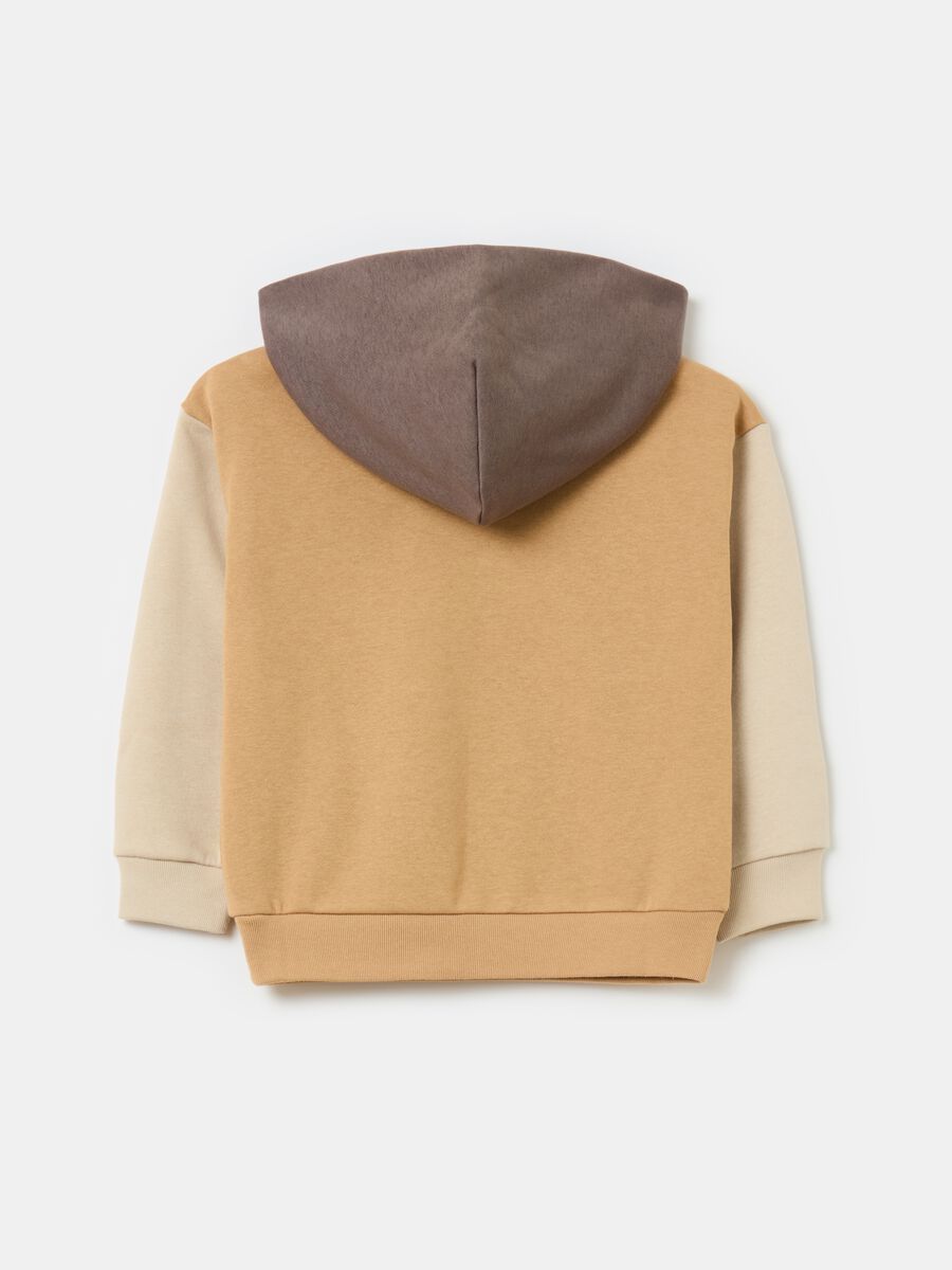 Colourblock sweatshirt with hood and logo Boy_1