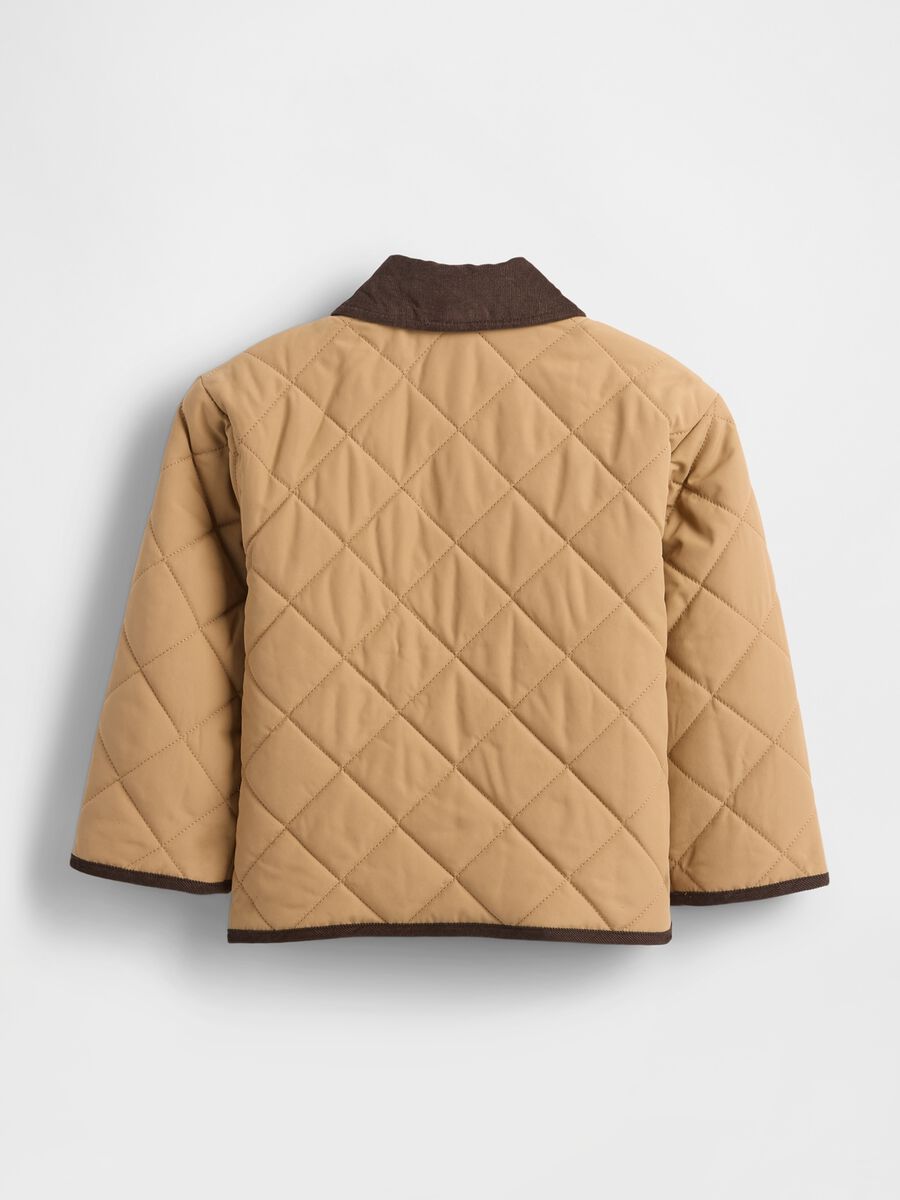 Beige Padded Jacket for Boys Baby Boy_1