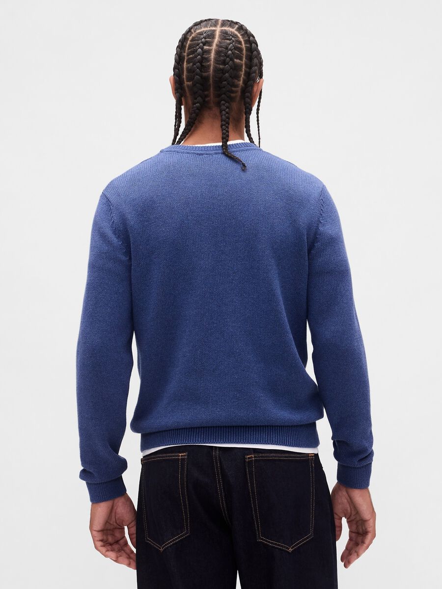 Pullover blu in cotone Uomo_1