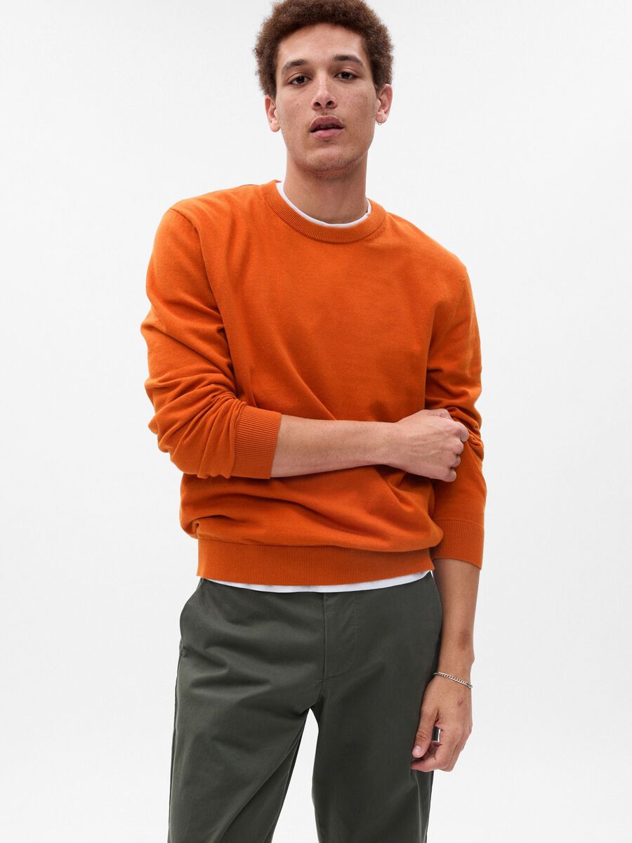 Pullover girocollo in cotone Uomo_0