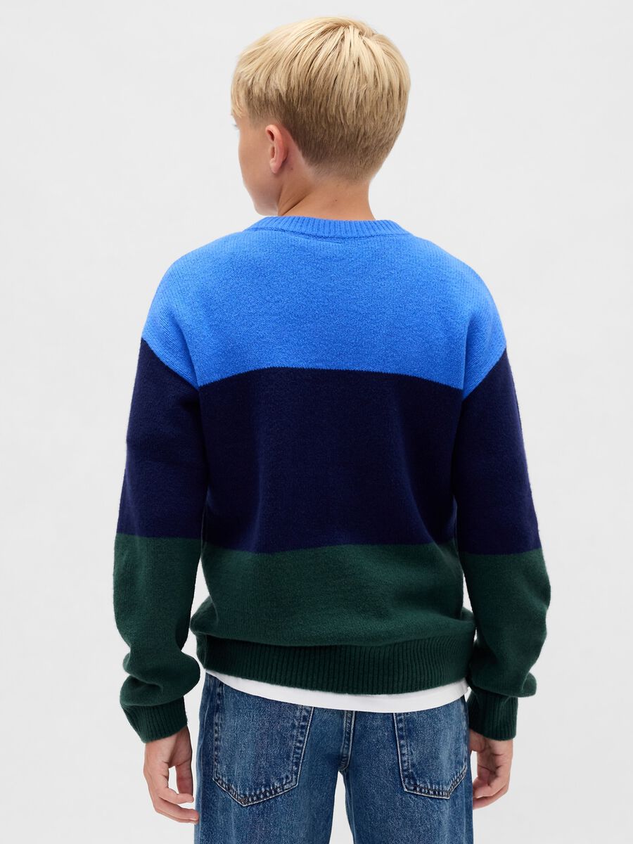 Maglione a righe multicolor da bambino in misto cotone Bambino_2