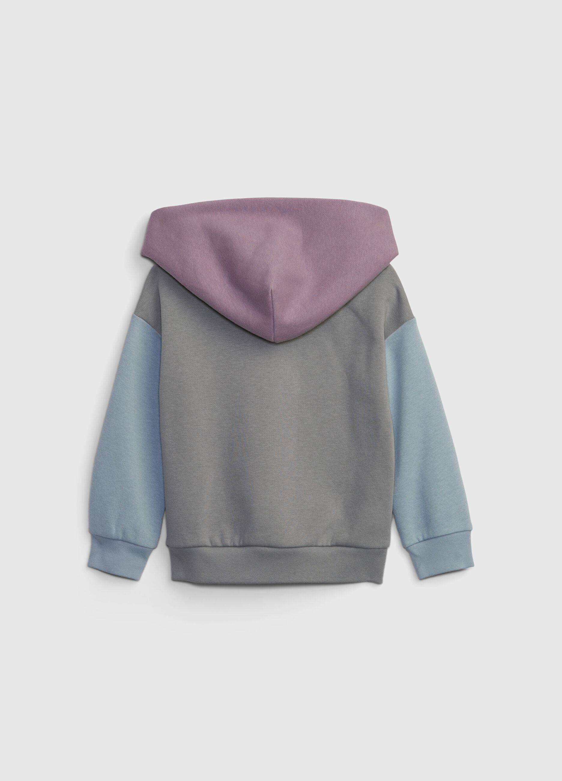 Colourblock sweatshirt with hood and logo_1