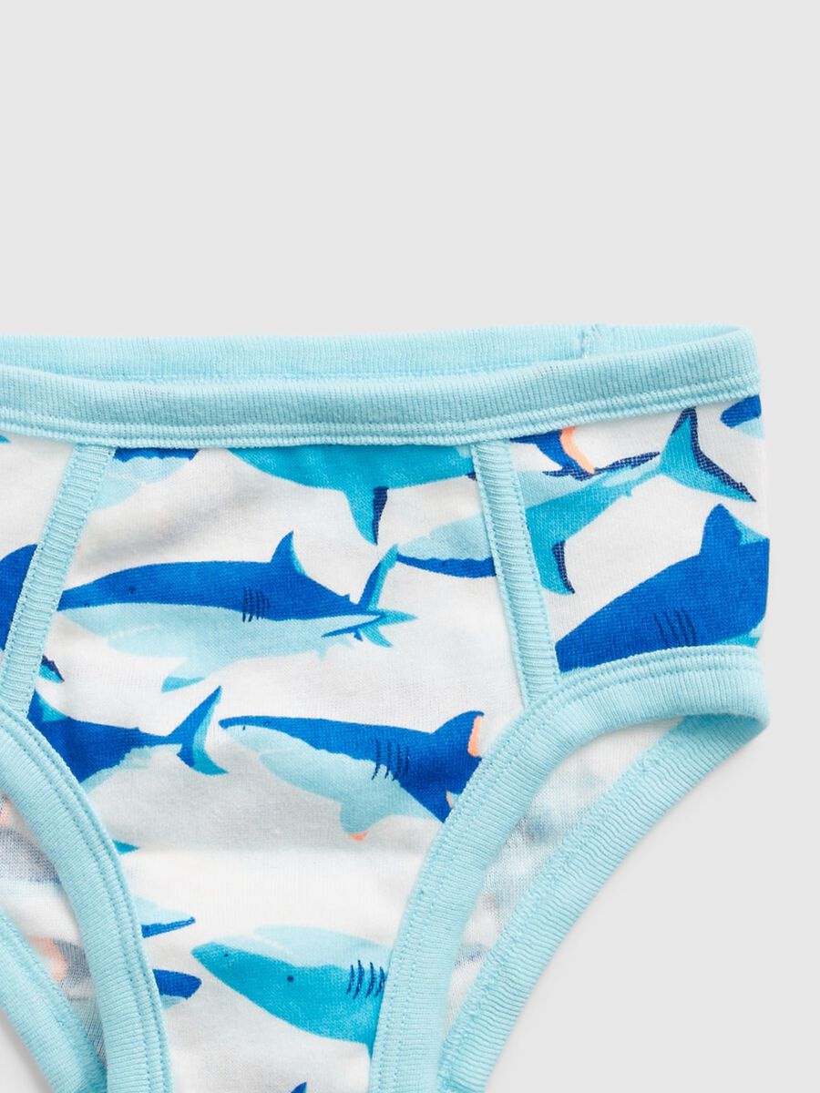 Five-pack briefs with shark print Toddler Boy_2