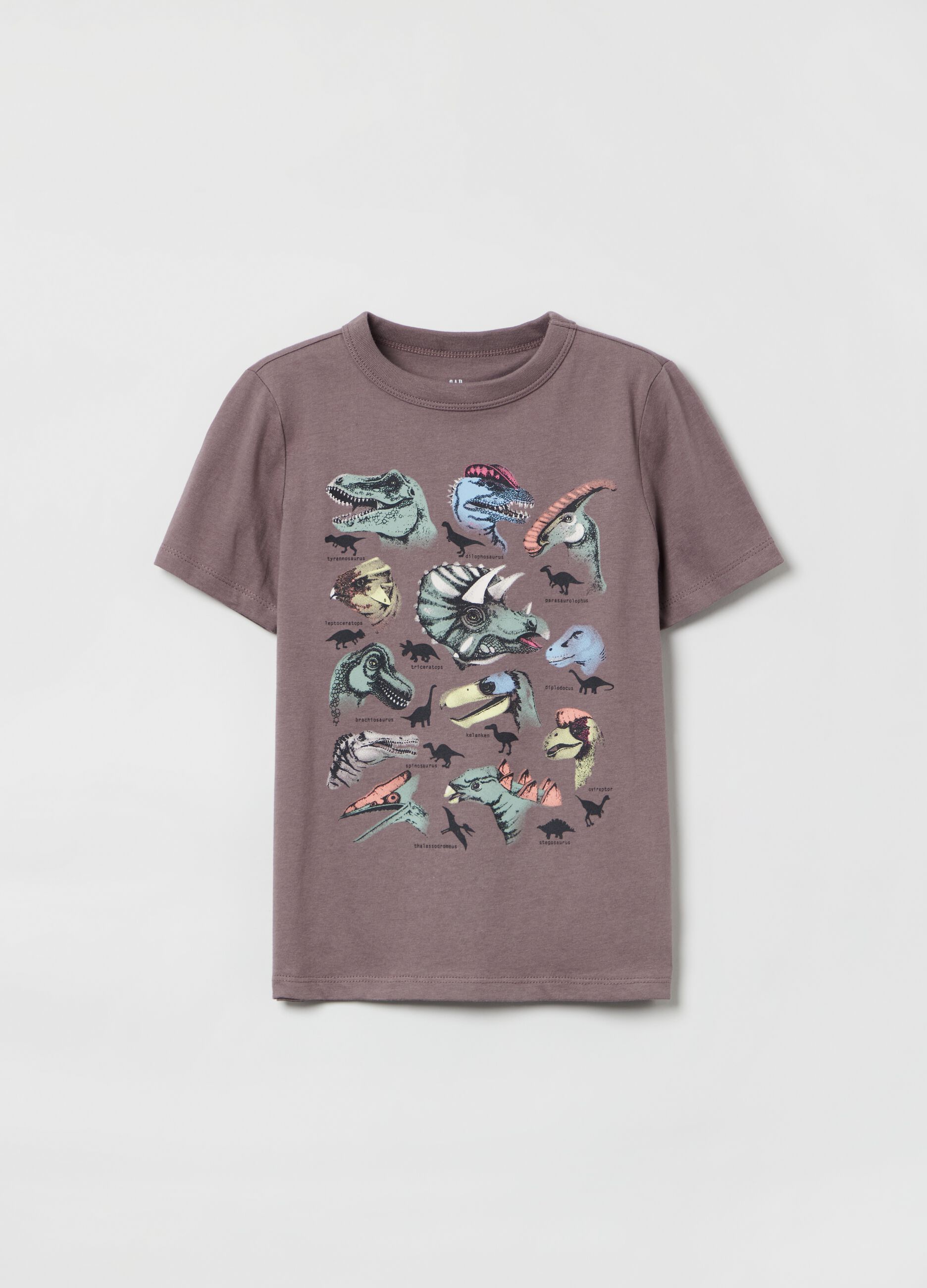 T-shirt in cotone con stampa dinosauri