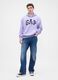 Purple Hooded Sweatshirt GAP_1