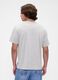 Grey short-sleeve t-shirt with gap print_1