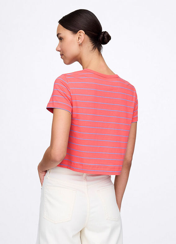 Multicolour Cotton Short Sleeve T-Shirt_2