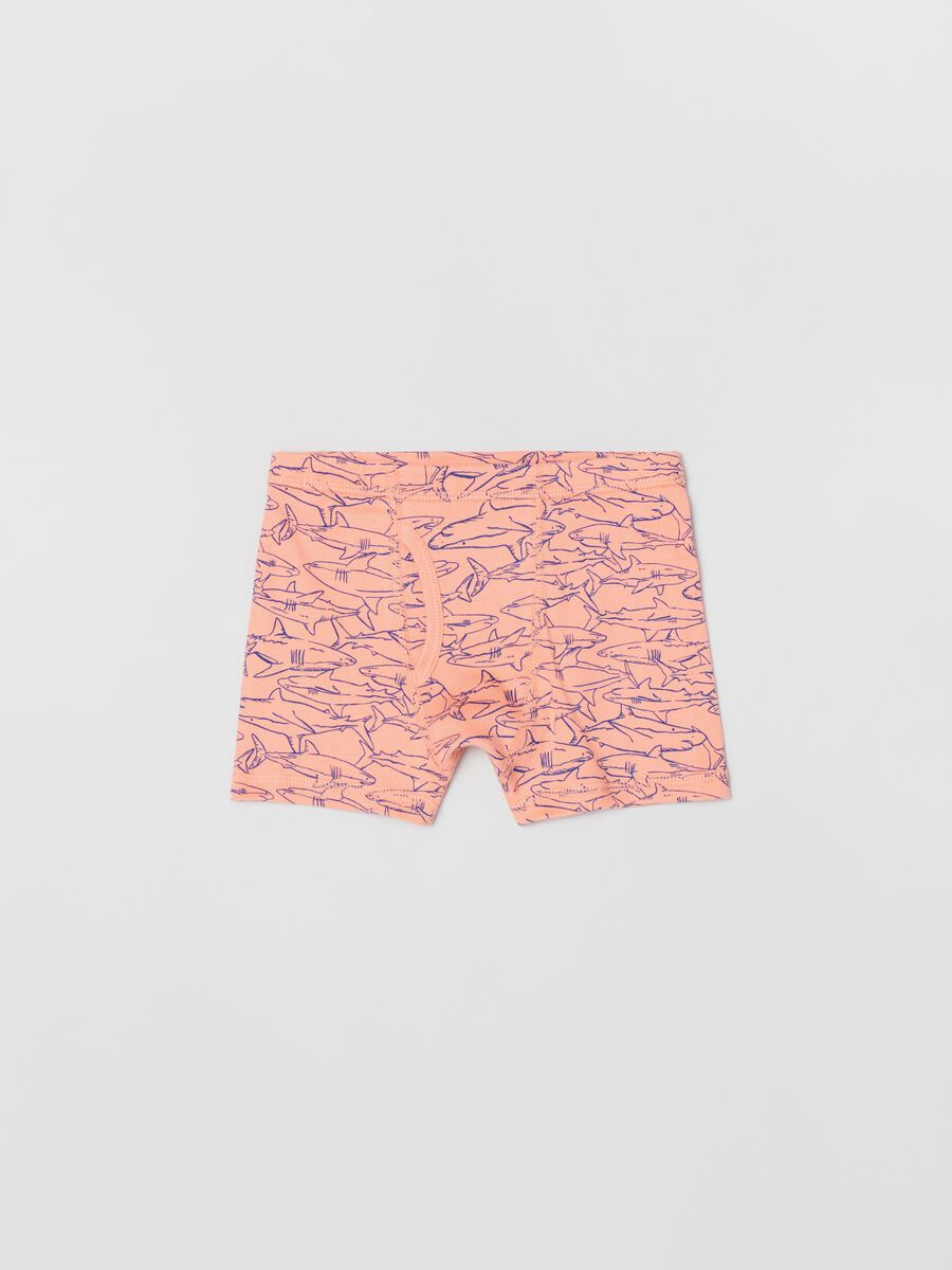 Four-pack striped boxer shorts with shark print Boy_1