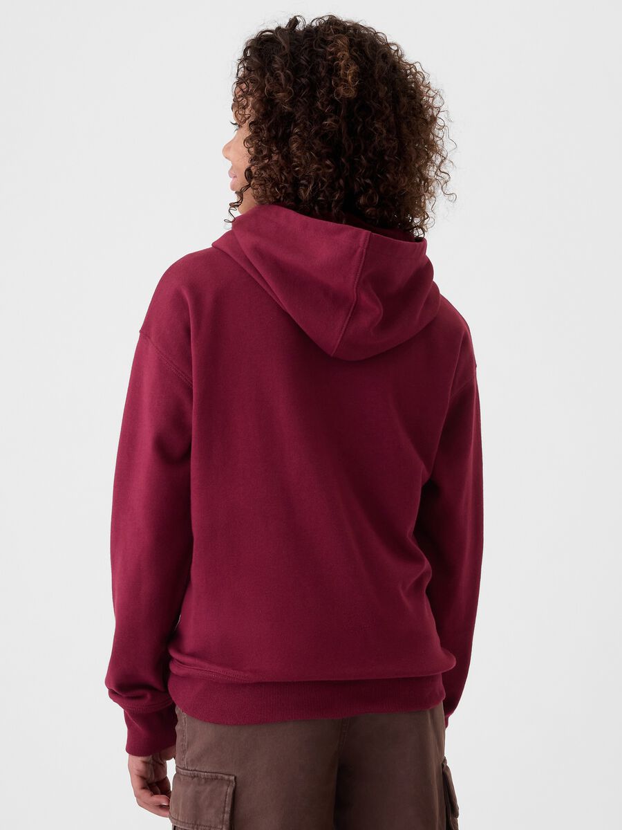 Felpa colorblock con ricamo logo Bambino_2
