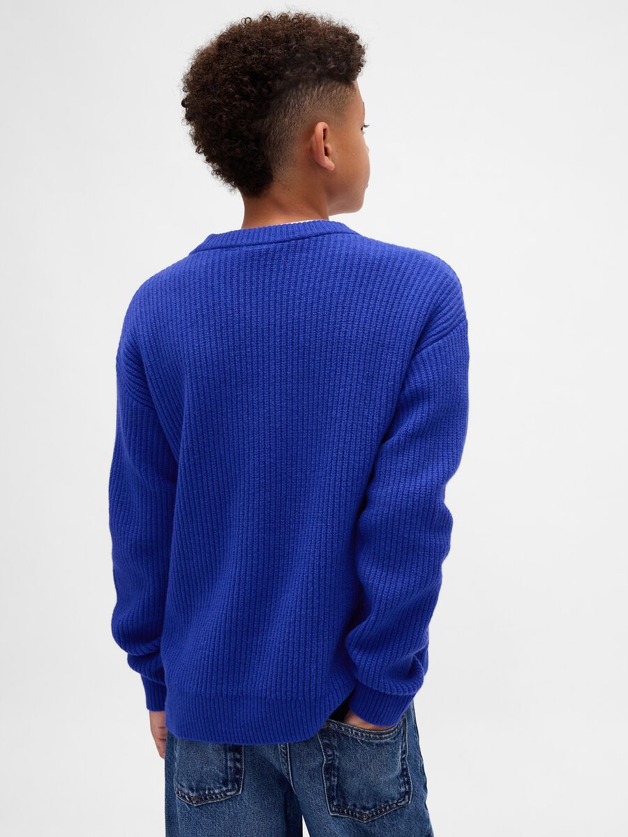 Maglione da bambino in misto cotone blu Bambino_2