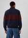 Felpa half-zip colorblock con ricamo logo_1