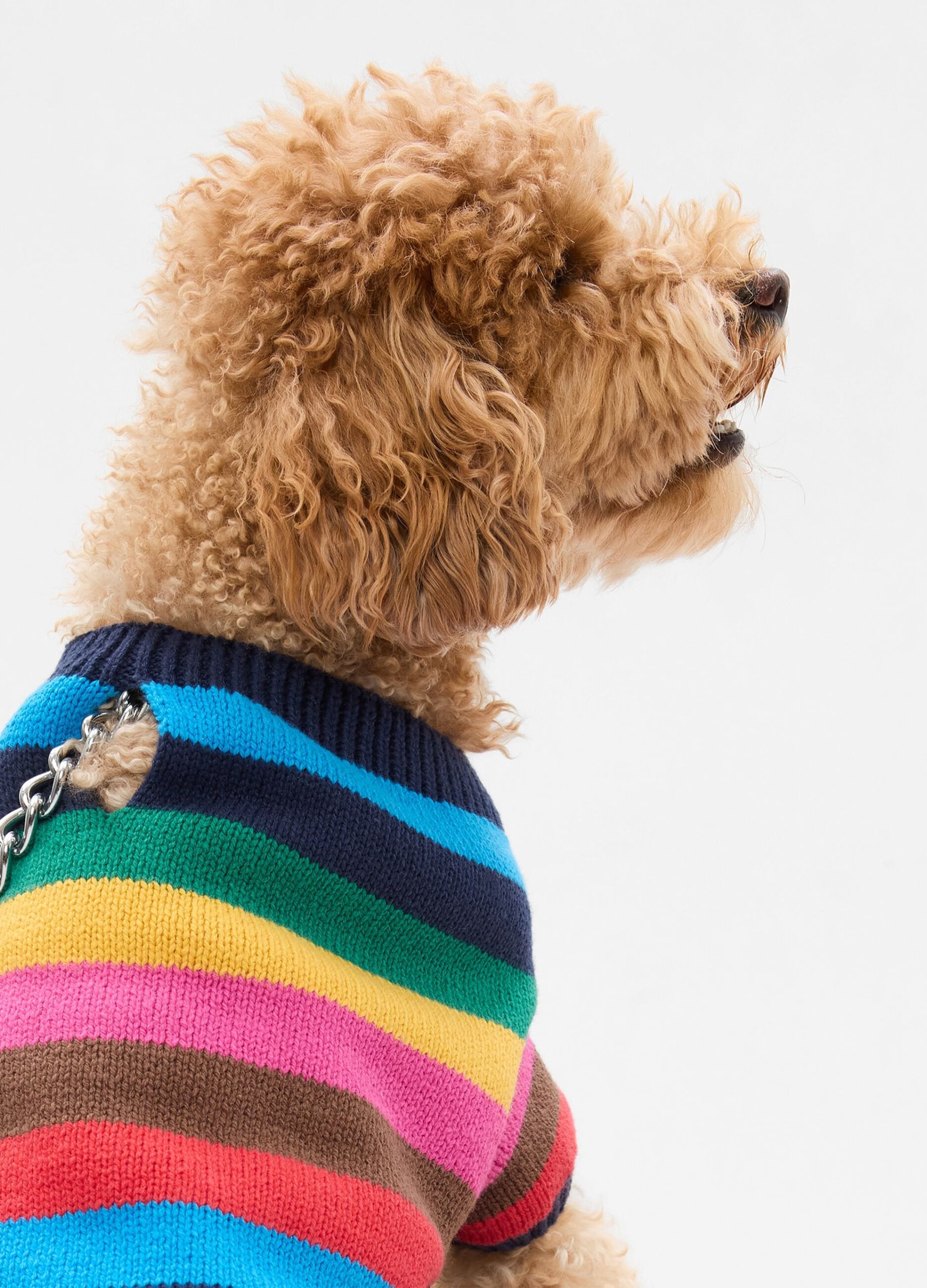 Happy Stripe dog sweater_2