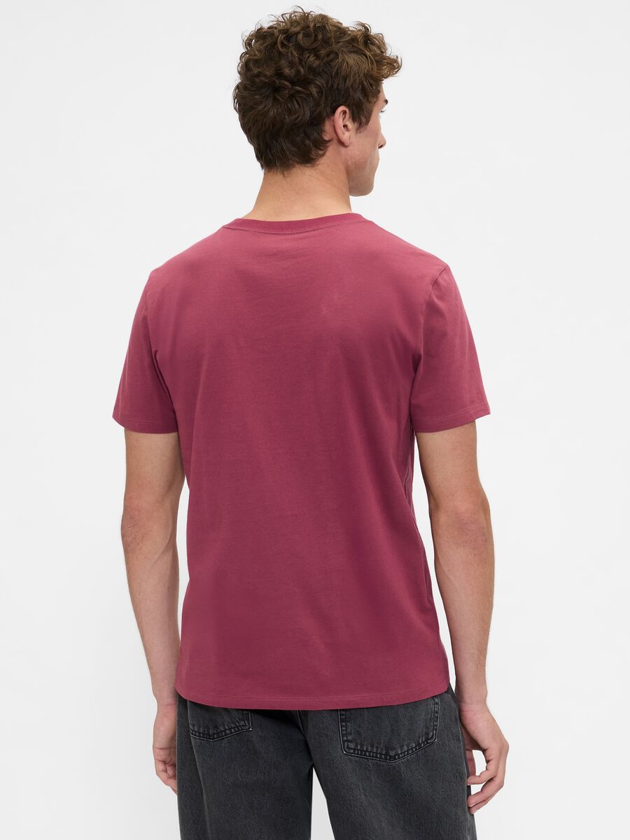 T-shirt rosa in cotone con logo Uomo_1