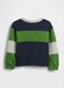 Blue and green striped long-sleeve top_1