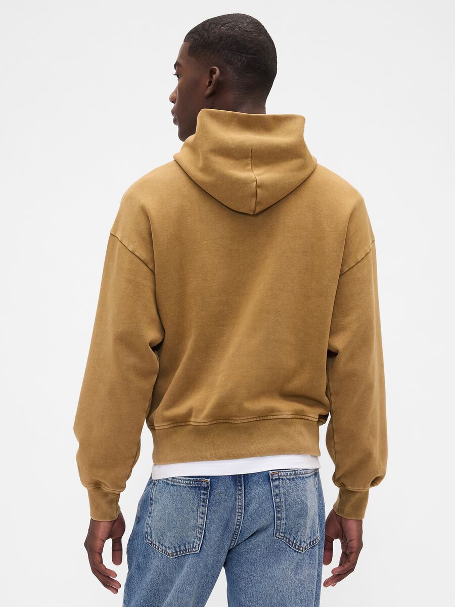Brown Hoodie Man_1