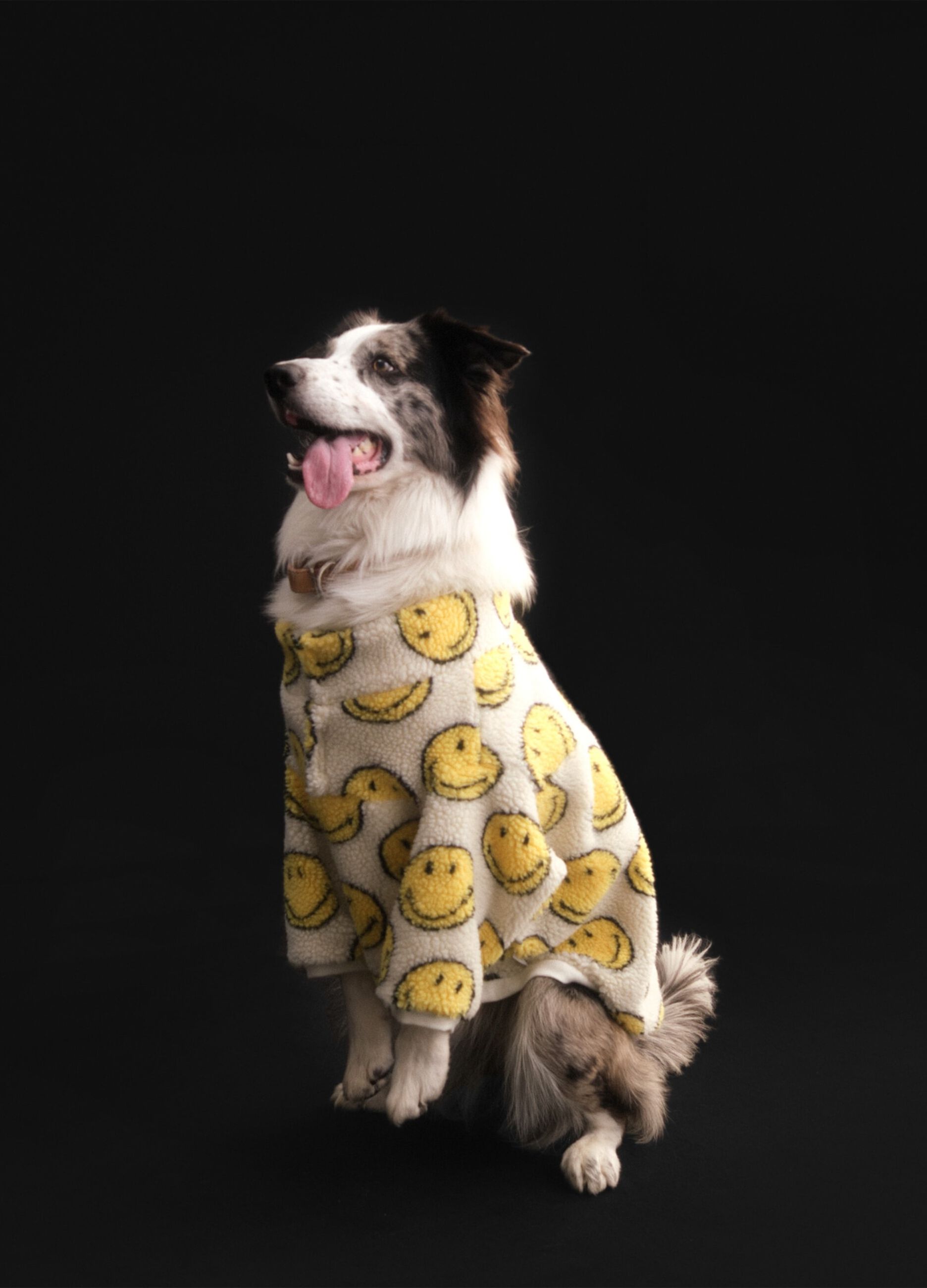 Smiley® dog suit