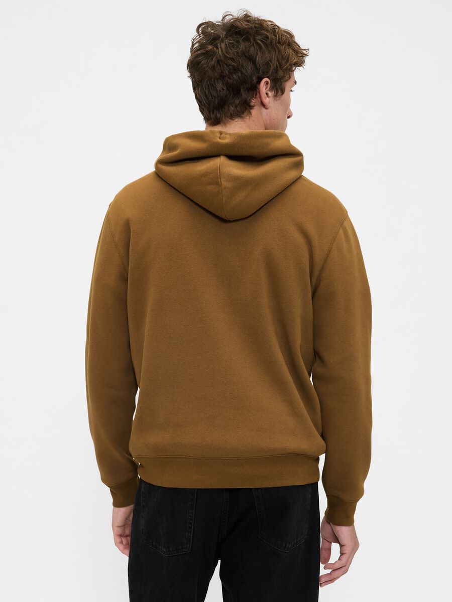 Brown Hoodie Man_1
