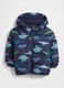 Blue Dinosaur Print Jacket for Kids_0