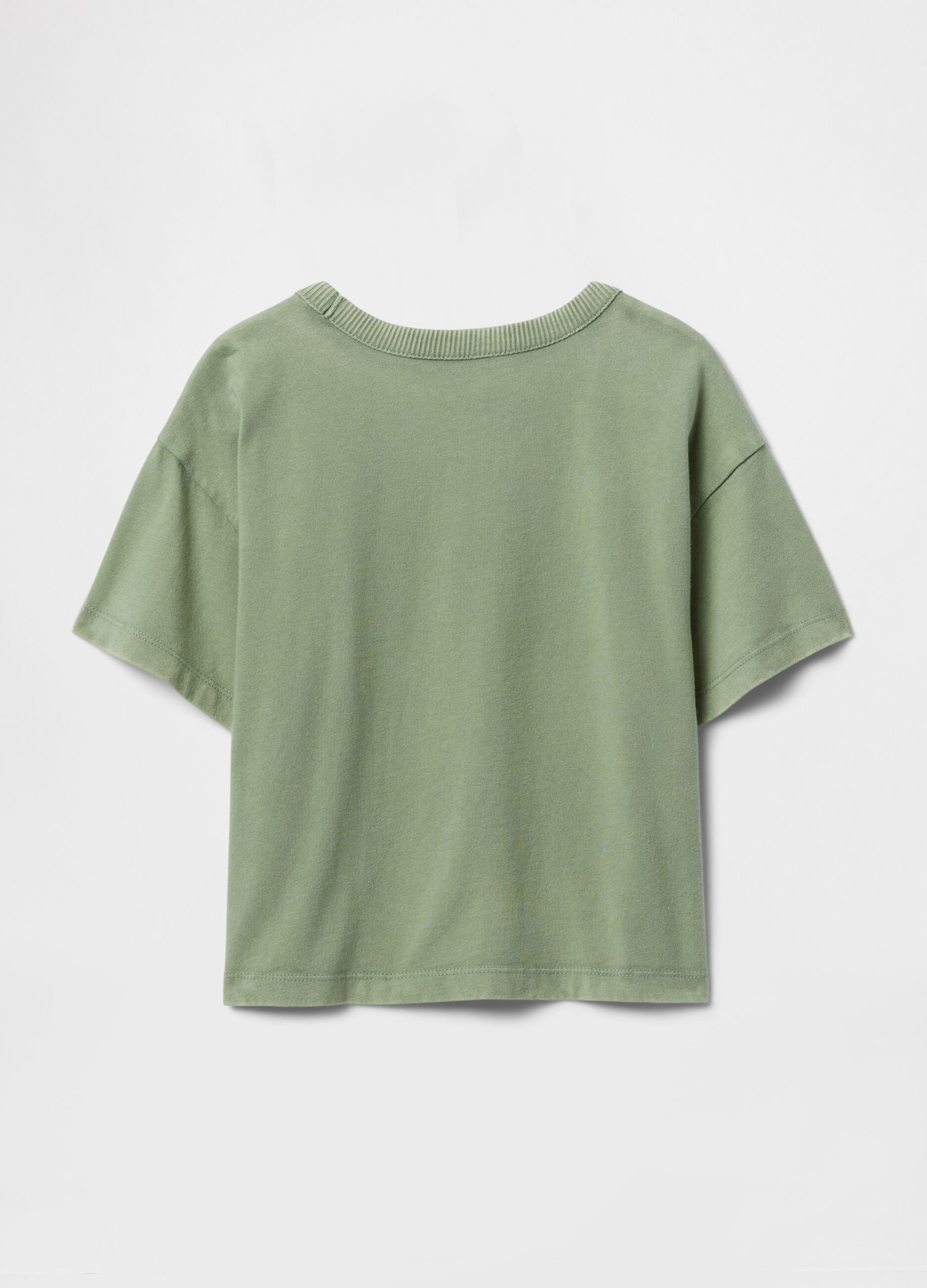 T-shirt cropped verde con ricamo_3