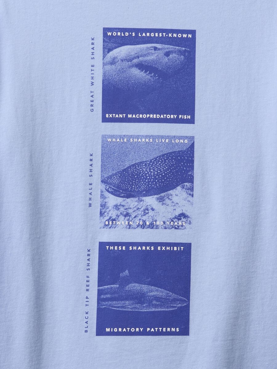 T-shirt azzurra con stampa di squali Bambino_1