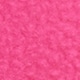 Rosa fuxia
