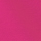 Rosa fuxia