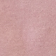 Rosa ciclamino